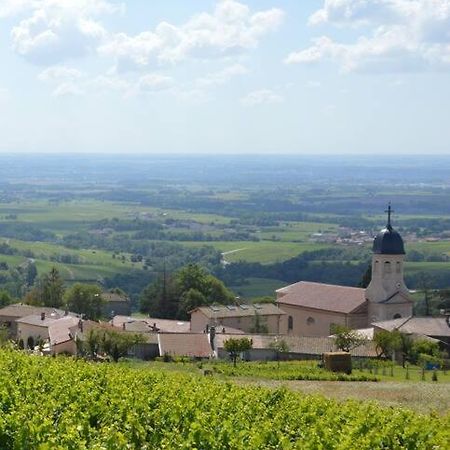 La Maison Du Jeune Vigneron Villa Chiroubles Exterior photo